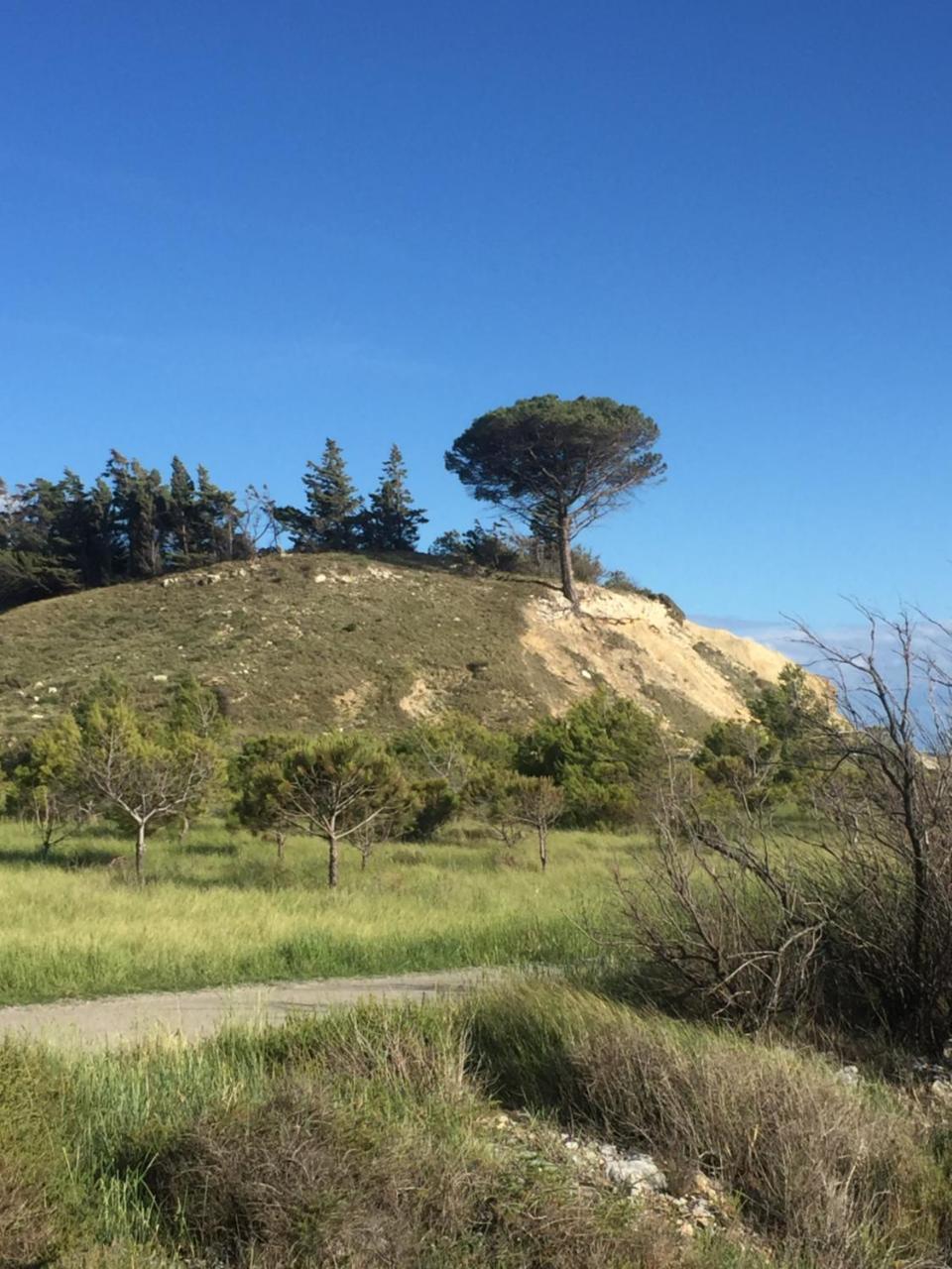 Le Flamant Rouge Guesthouse Peyriac de Mer Bagian luar foto