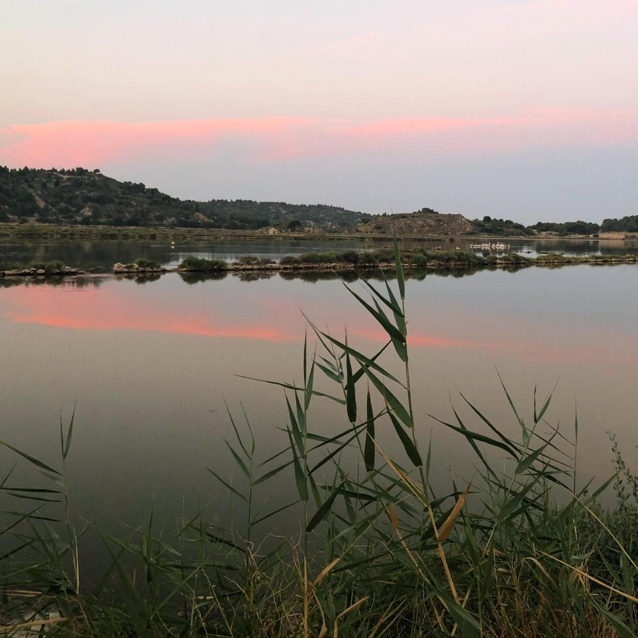 Le Flamant Rouge Guesthouse Peyriac de Mer Bagian luar foto